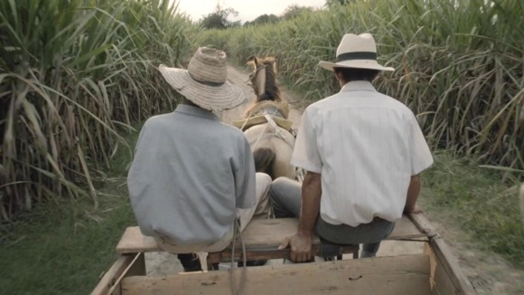 Photo du film Land and Shade [2015]