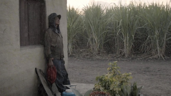 Photo du film Land and Shade [2015]