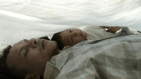 Photo du film Land and Shade [2015]