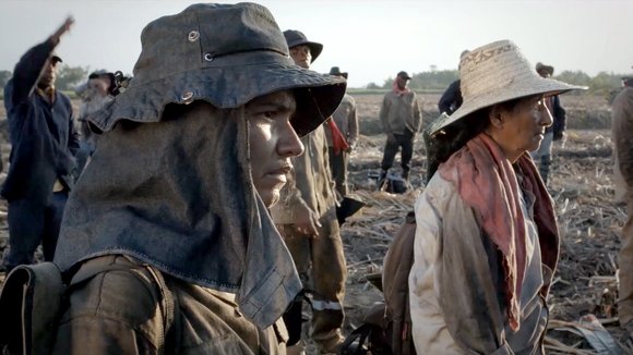 Photo du film Land and Shade [2015]