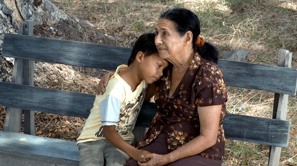 Photo du film Land and Shade [2015]