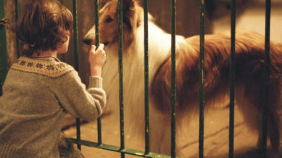 Photo du film Lassie