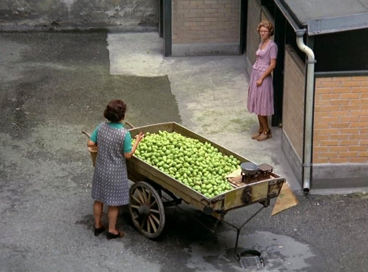 Photo from the movie Le Marchand des quatre saisons