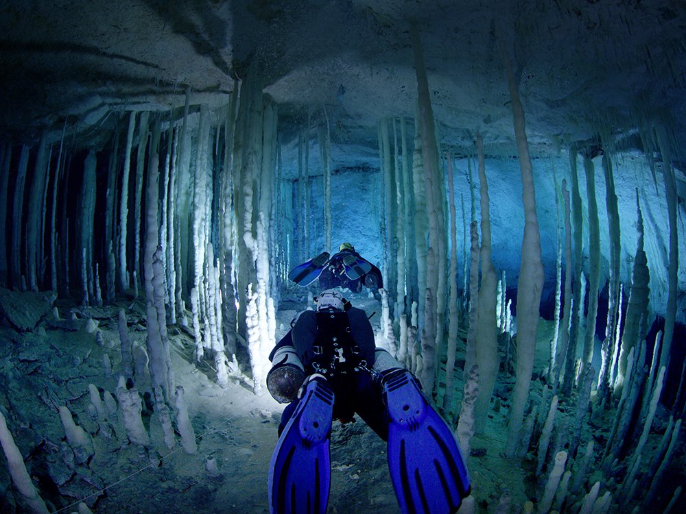 Photo from the movie Ancient Caves [2020]