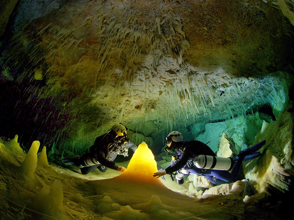 Photo from the movie Ancient Caves [2020]