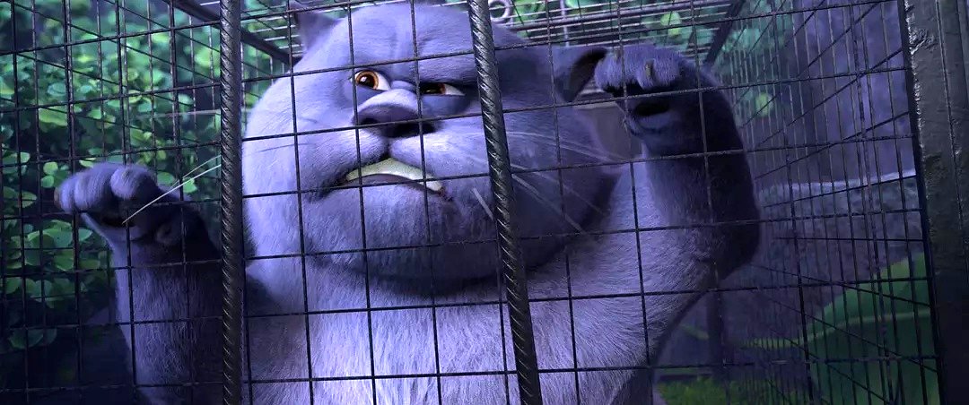 Photo du film Oscar et le monde des chats