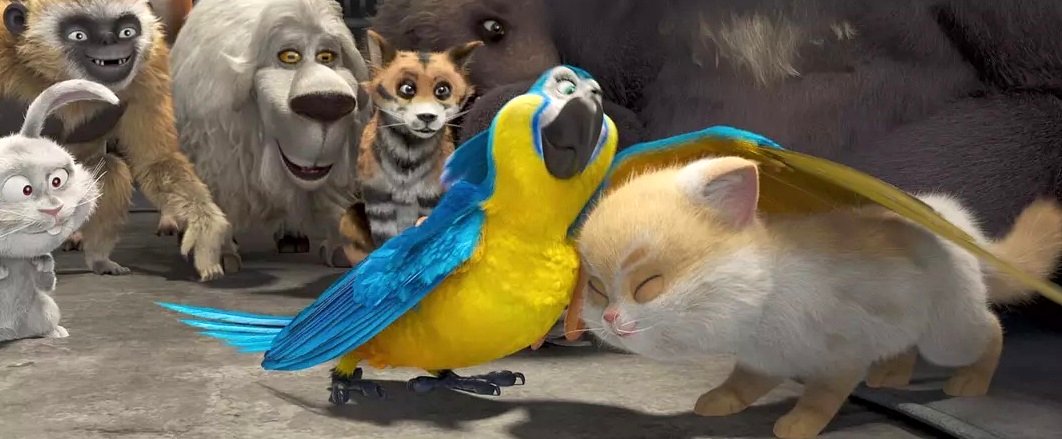 Photo du film Oscar et le monde des chats