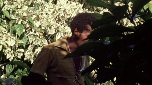 Photo du film The Harder They Come