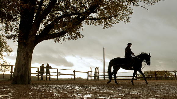 Photo du film Jappeloup: L'étoffe d'un champion