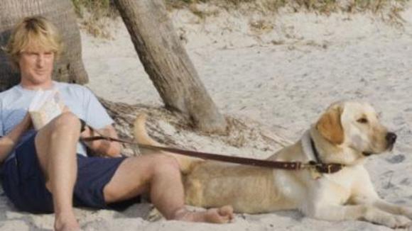 Photo du film Marley & Me