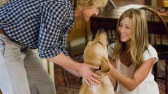 Photo du film Marley & Me