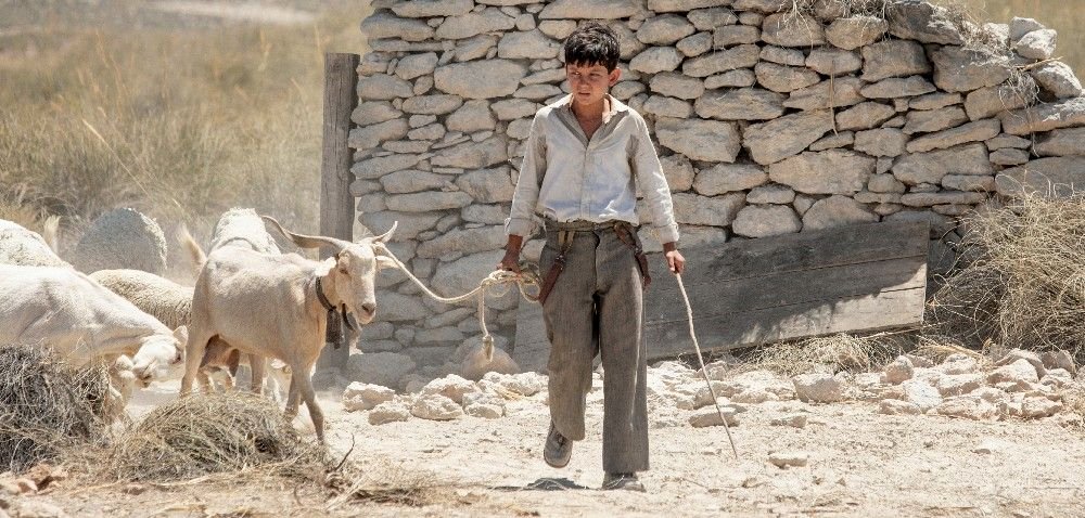 Photo du film Out in the Open