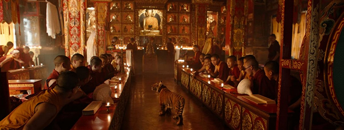 Photo from the movie Le tigre et l'enfant