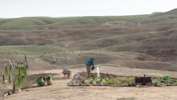Photo du film La Vache