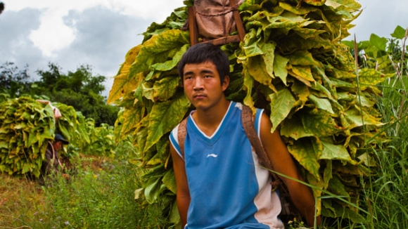 Photo from the movie China Heavyweight [2012]