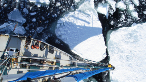 Photo from the movie The Last Continent