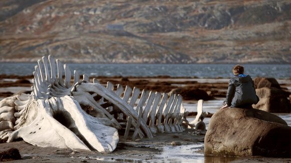 Photo from the movie Leviathan