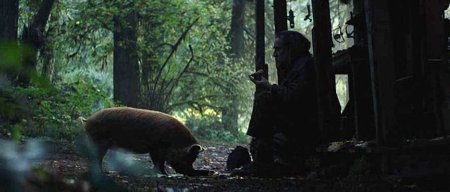 Photo du film Cochon [2021]