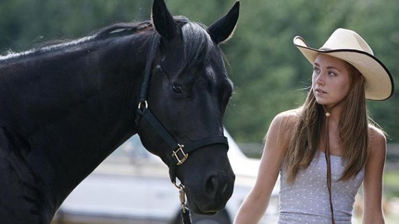 Photo du film Heartland