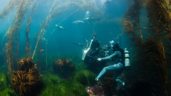 Photo from the movie Great White Shark