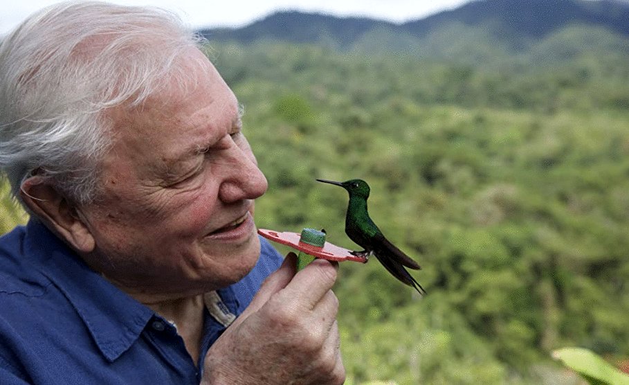 Photo from the movie Life in Color with David Attenborough