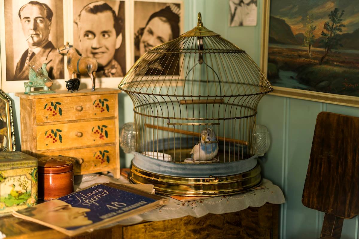 Photo du film The Birdcatcher