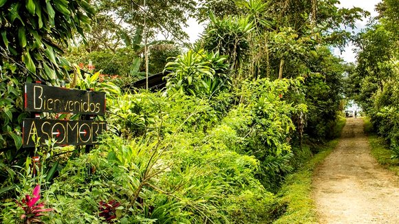 Photo du film A Small Section of the World [2014]