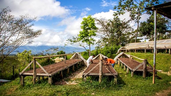 Photo du film A Small Section of the World [2014]