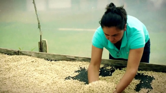 Photo du film A Small Section of the World [2014]