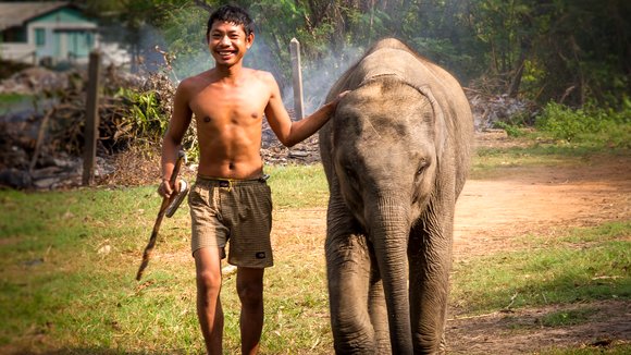 Photo from the movie When Elephants Were Young