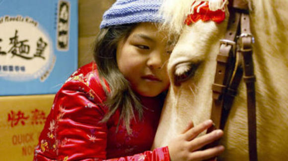 Photo du film Le Cheval de Saint-Nicolas