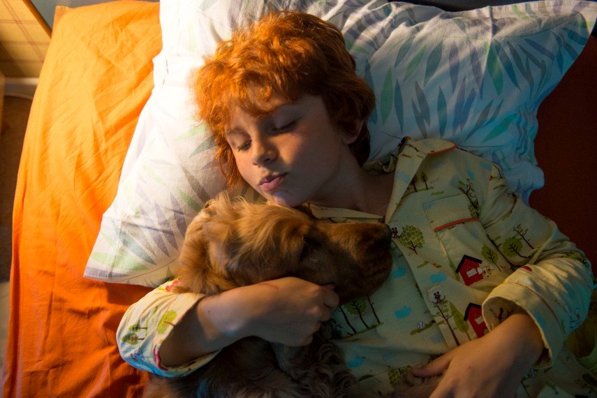 Photo du film Boule & Bill 2