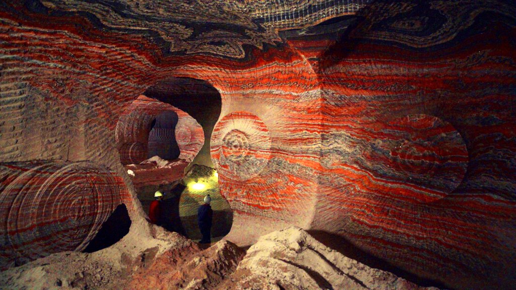 Photo from the movie Anthropocene: The Human Epoch [2018]