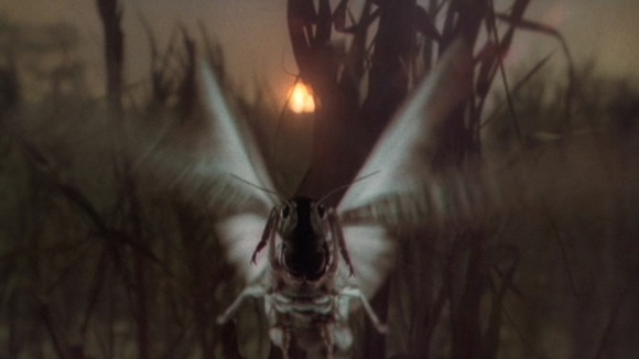 Photo du film Exorcist II: The Heretic