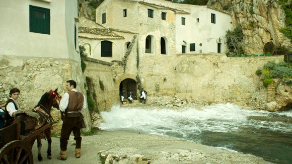 Photo from the movie Leaves of the Tree