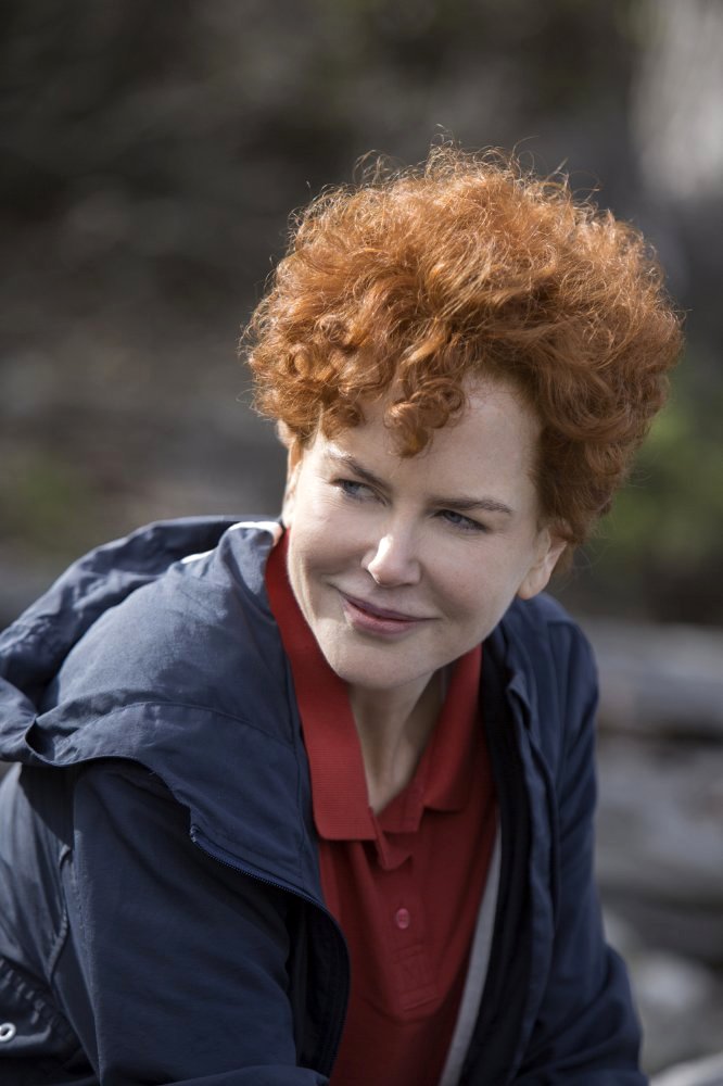 Photo du film Lion v.f.