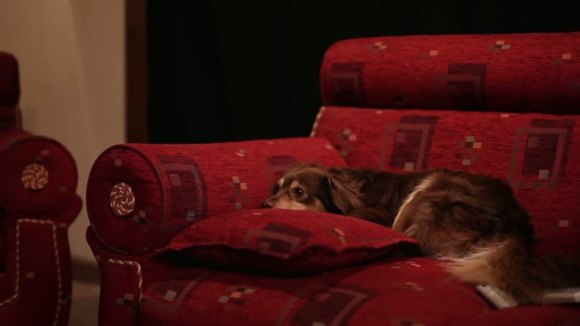 Photo from the movie Pardé [2013]