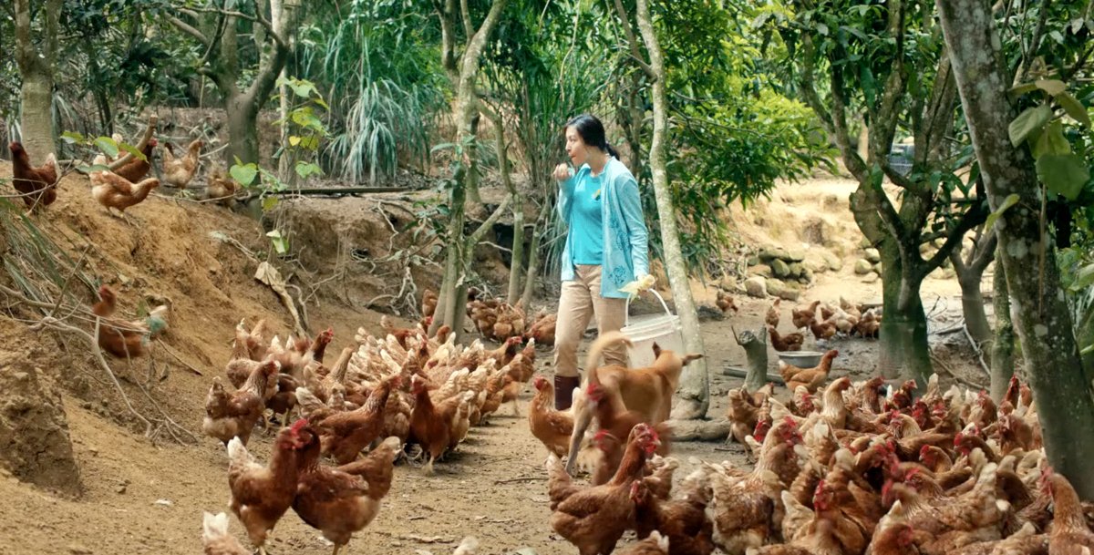 Photo from the movie Salli [2023]