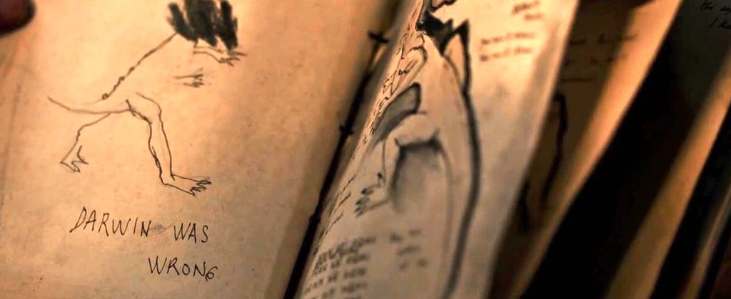 Photo du film Cold Skin