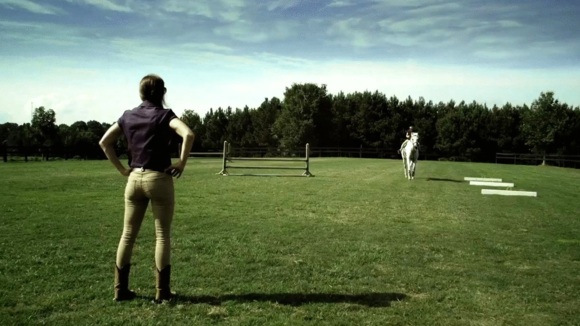 Photo du film Le Grand Champion [2015]