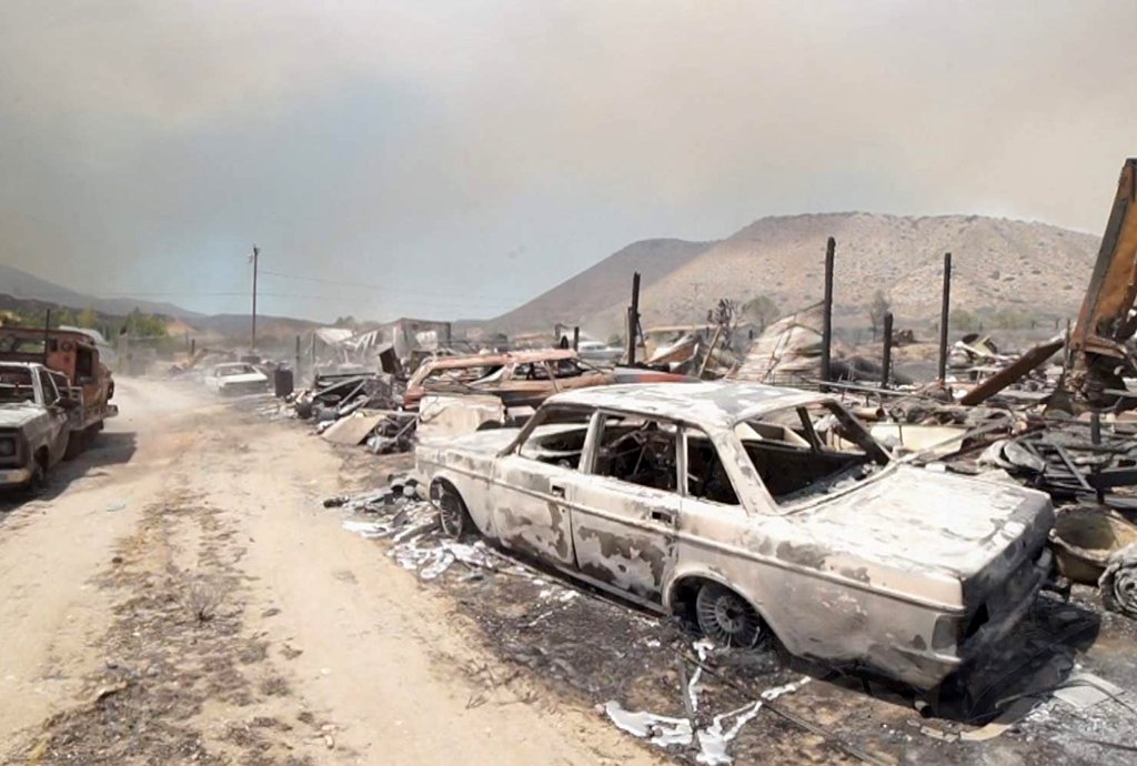 Photo du film Living in the Future's Past