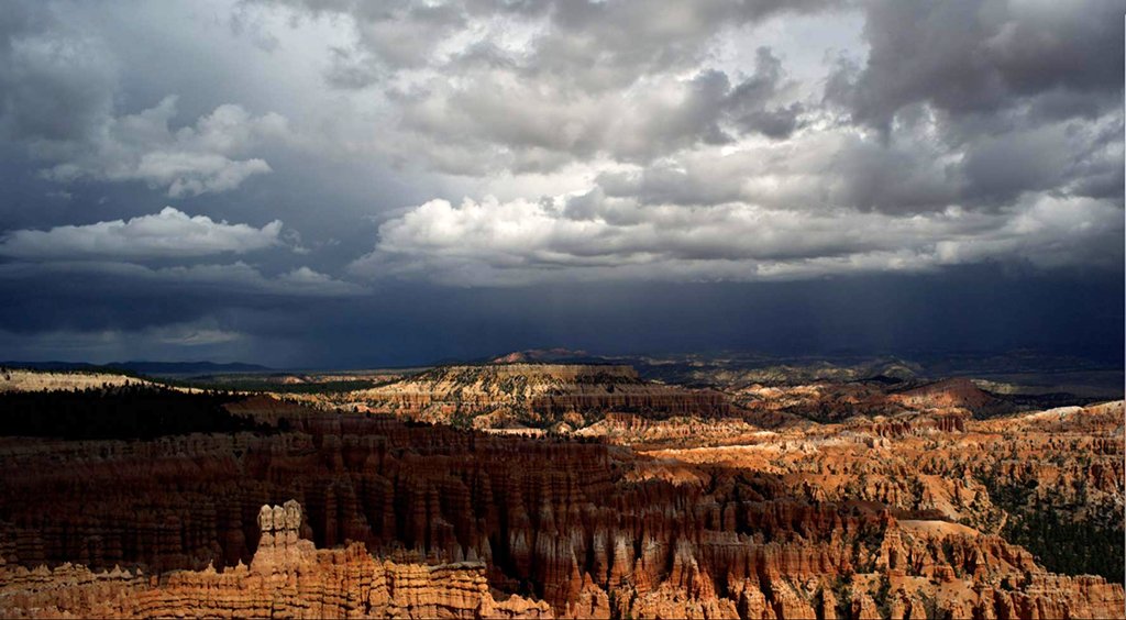 Photo du film Living in the Future's Past