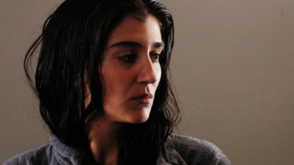 Photo du film Monkeys in Winter [2006]