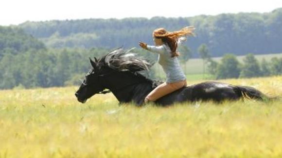 Photo du film Whisper: Libres comme le vent [2013]