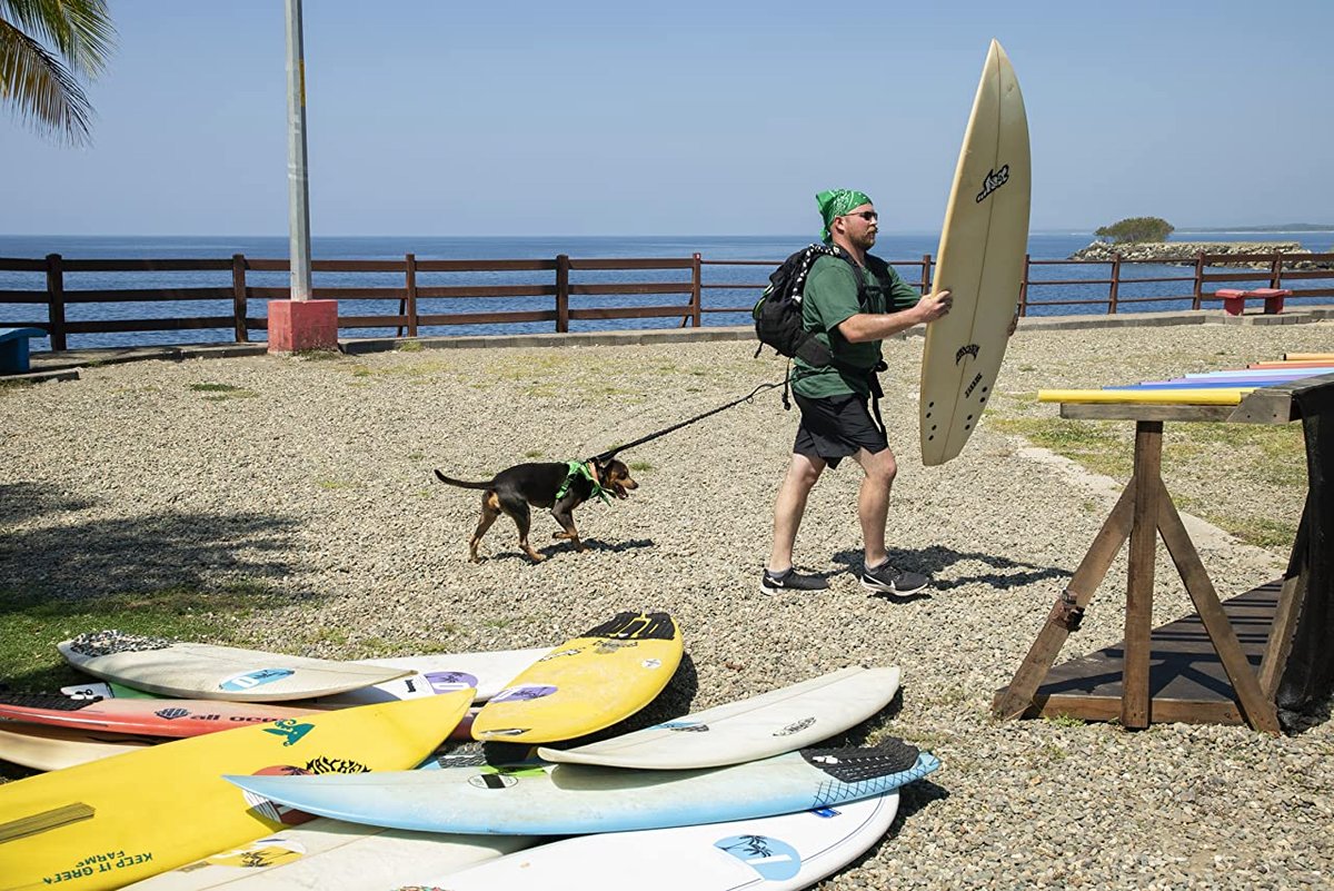 Photo du film The Pack [2020]