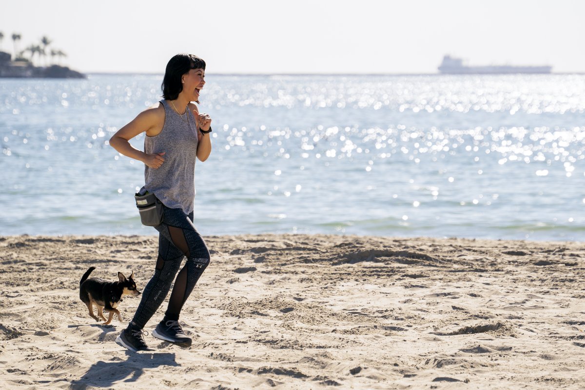 Photo du film The Pack [2020]