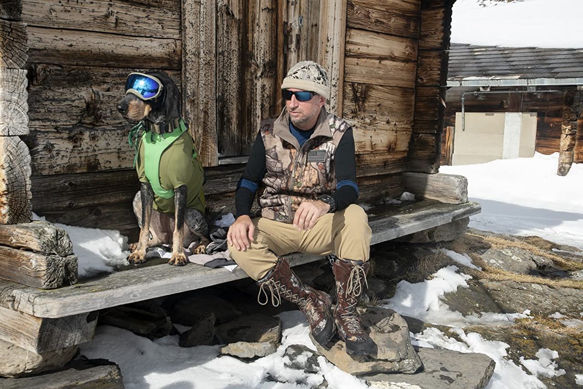 Photo du film The Pack [2020]