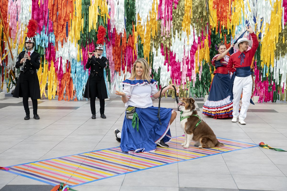 Photo du film The Pack [2020]