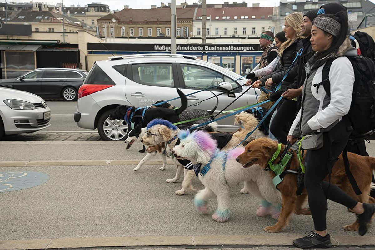 Photo du film The Pack [2020]