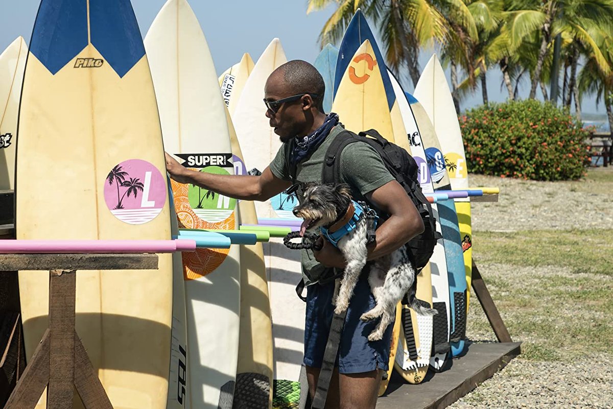 Photo du film The Pack [2020]